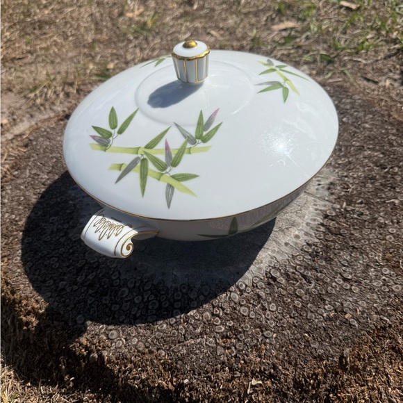 Spring Bamboo - Picture 5 of 6